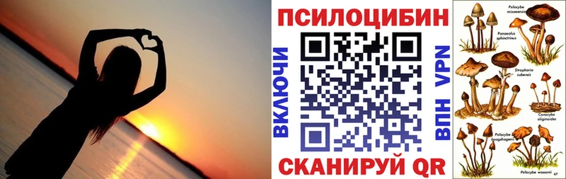 наркота  Гусь-Хрустальный  omg зеркало  Галлюциногенные грибы Psilocybine cubensis 
