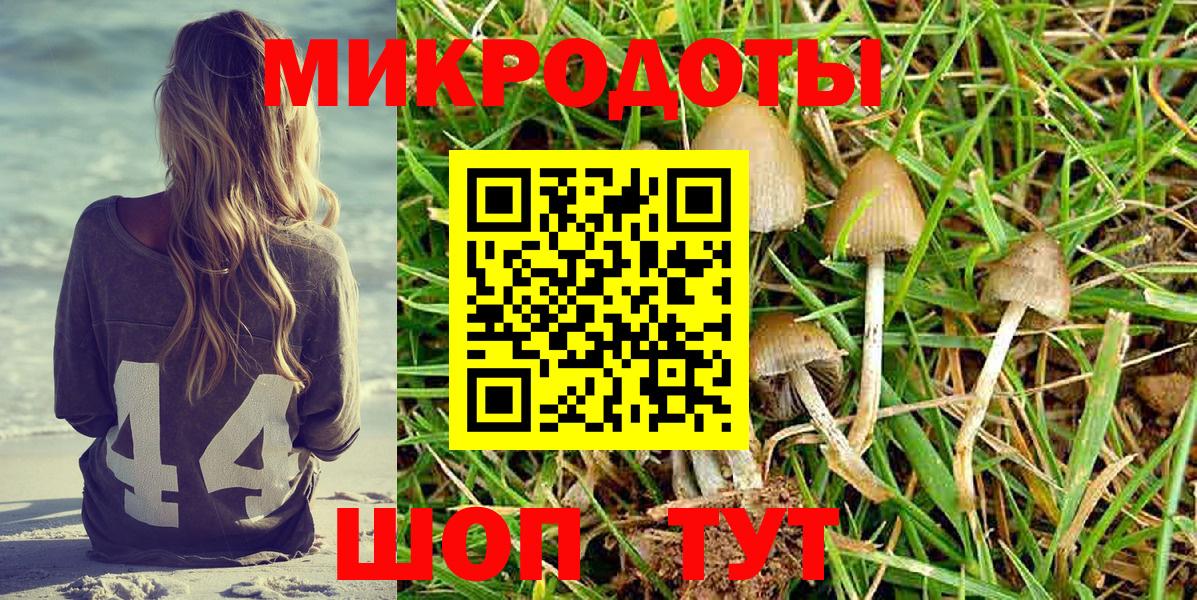 Псилоцибиновые грибы мухоморы Гусь-Хрустальный